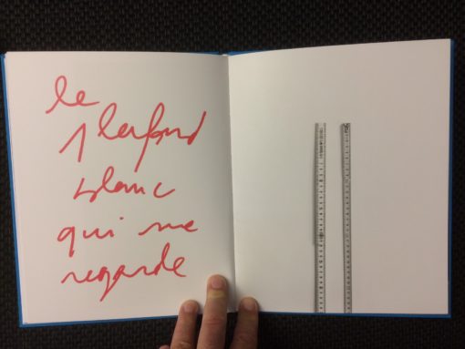 Crocodile Tears Jérôme Sother Robert Frank Gwinzegal