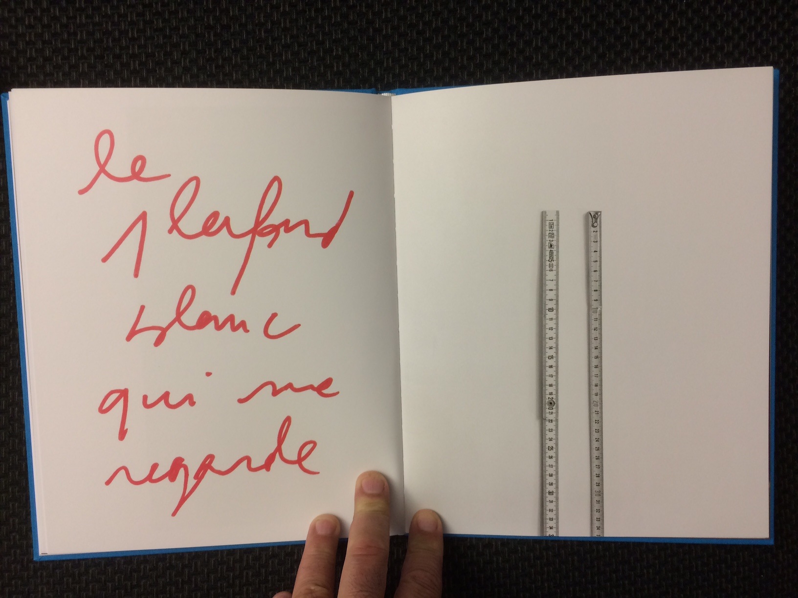 Crocodile Tears Jérôme Sother Robert Frank Gwinzegal