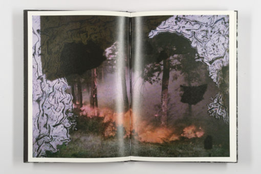 Mold is Beautiful - Luce Lebart - Editions Poursuite