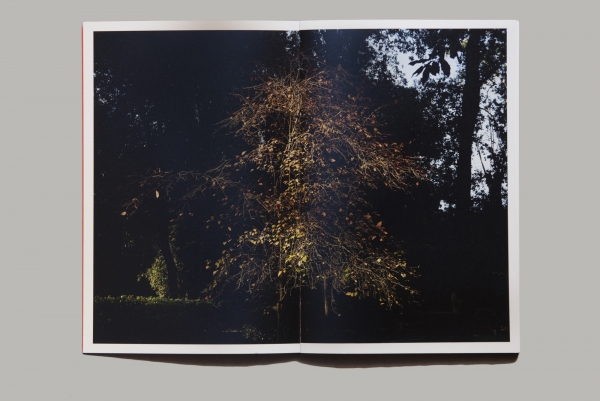 Geoffroy Mathieu - Matière Noire - Editions Poursuite