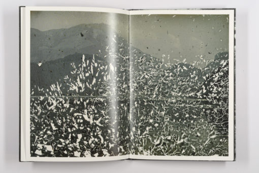 Mold is Beautiful - Luce Lebart - Editions Poursuite