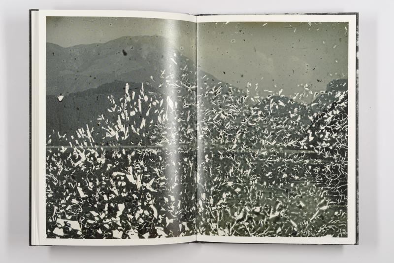 Mold is Beautiful - Luce Lebart - Editions Poursuite