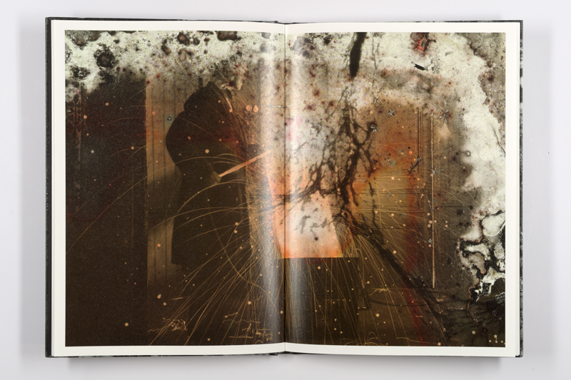 Mold is Beautiful - Luce Lebart - Editions Poursuite