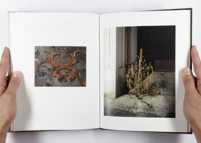 François Deladerrière - Delta - Editions Poursuite