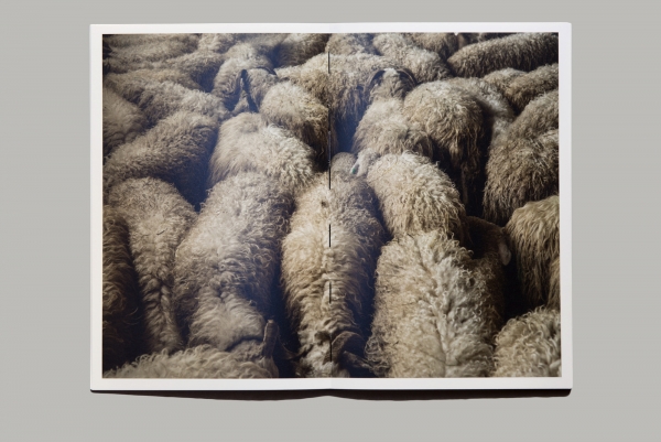 Geoffroy Mathieu - Matière Noire - Editions Poursuite