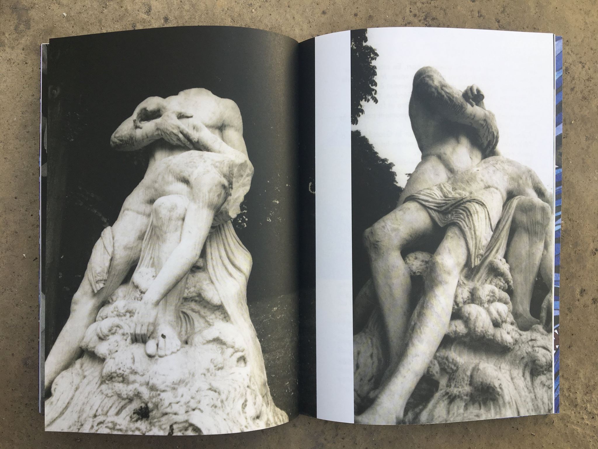 White Rabbit Dream 1