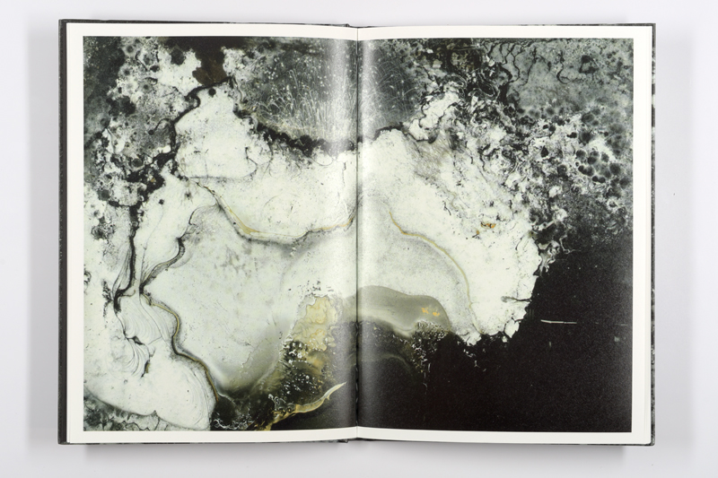 Mold is Beautiful - Luce Lebart - Editions Poursuite