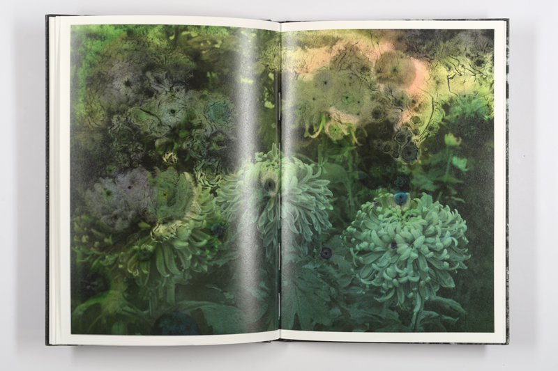 Mold is Beautiful - Luce Lebart - Editions Poursuite