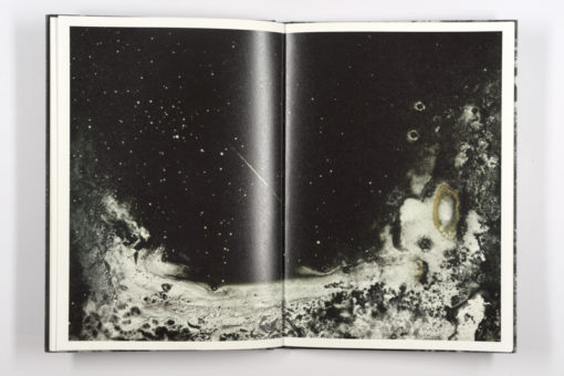 Mold is Beautiful - Luce Lebart - Editions Poursuite