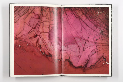 Mold is Beautiful - Luce Lebart - Editions Poursuite