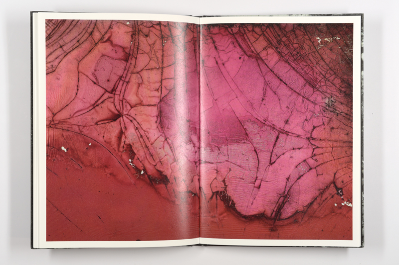 Mold is Beautiful - Luce Lebart - Editions Poursuite
