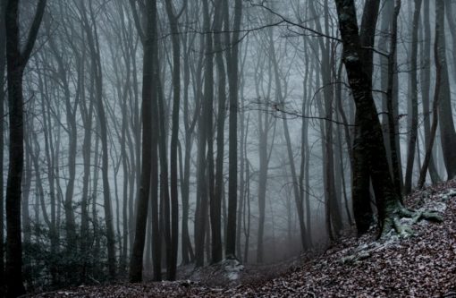 Saisons noires - Julien Coquentin – Image 11
