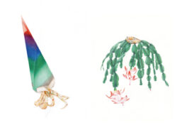 The Drawer 3