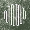 Optical sound 5
