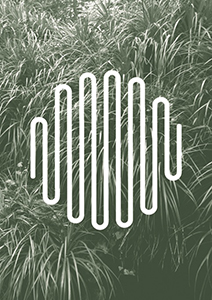 Optical sound 5