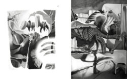 Roven n°5