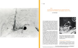 Roven n°5