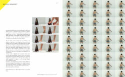 Roven n°10