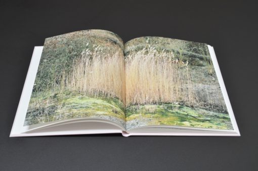 Illusive Prosody - Alex Beaurain - Alt Editions