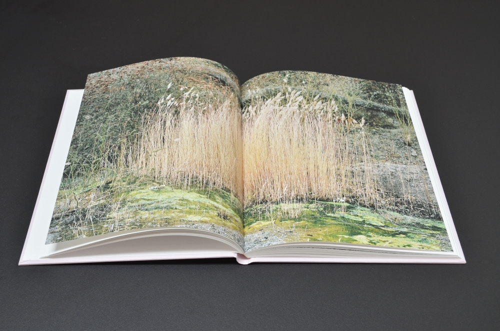 Illusive Prosody - Alex Beaurain - Alt Editions