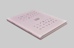 Illusive Prosody - Alex Beaurain - Alt Editions