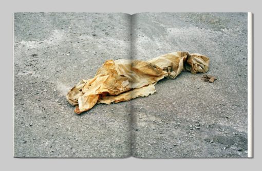 Illusive Prosody - Alex Beaurain - Alt Editions