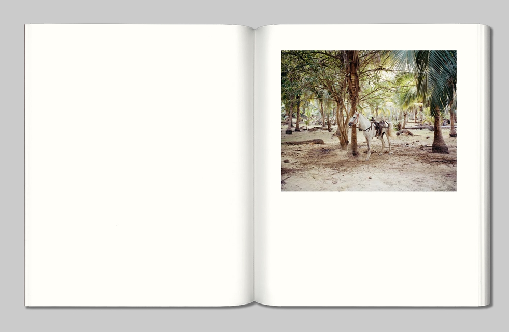 Illusive Prosody - Alex Beaurain - Alt Editions
