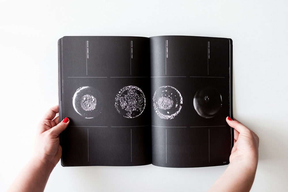 Cosmos-Sandrine-Elberg-Lame