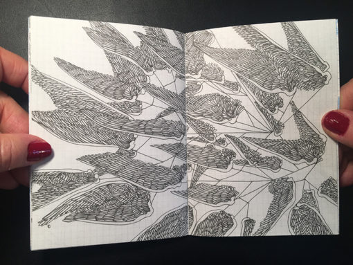 Plumes-celine-guichard-white-rabbit