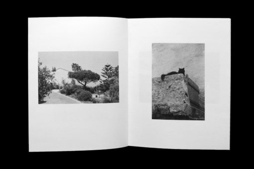 La Traversee - Magali Brueder