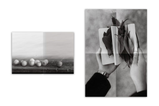 Behind the glass - Alexandra Catiere - Chose Commune - Librairie Lame