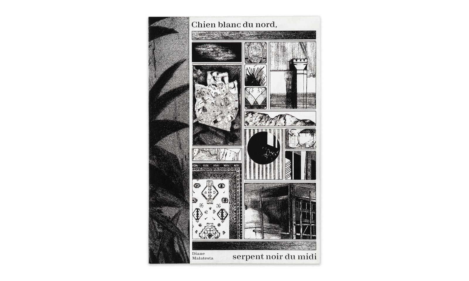Chien blanc du nord Diane Malatesta - Surfaces Utiles