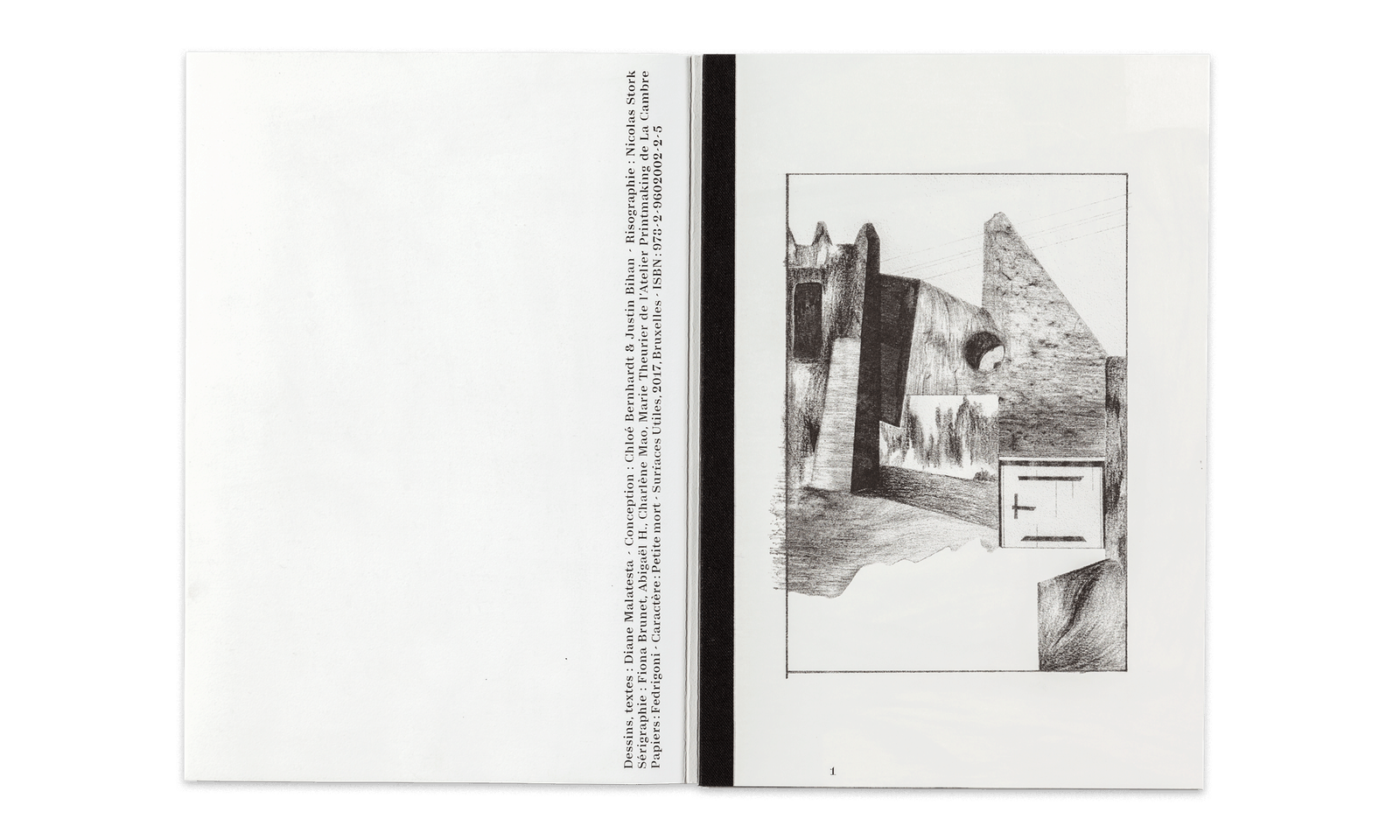 Chien blanc du nord Diane Malatesta - Surfaces Utiles