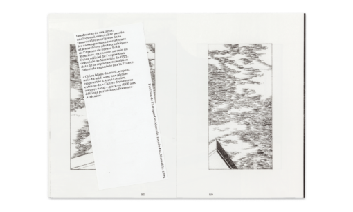 Chien blanc du nord Diane Malatesta - Surfaces Utiles
