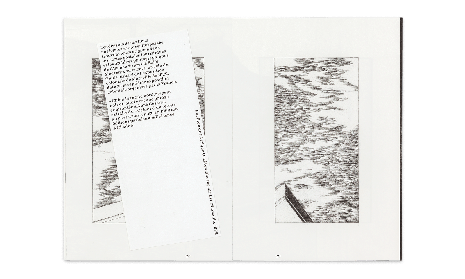 Chien blanc du nord Diane Malatesta - Surfaces Utiles