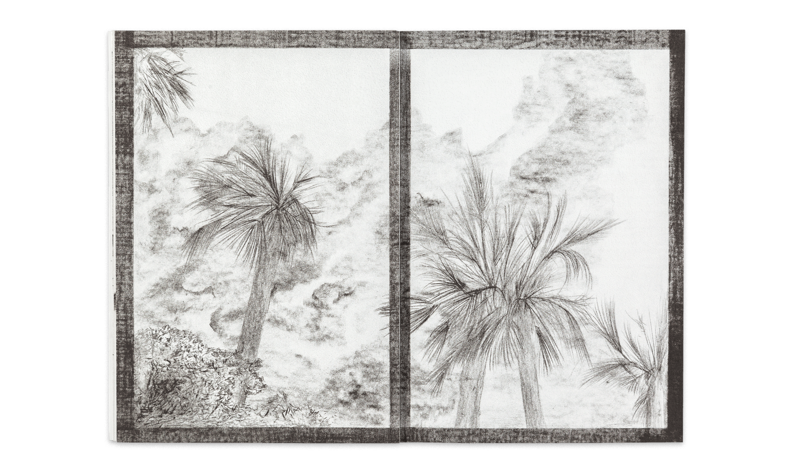 Chien blanc du nord Diane Malatesta - Surfaces Utiles