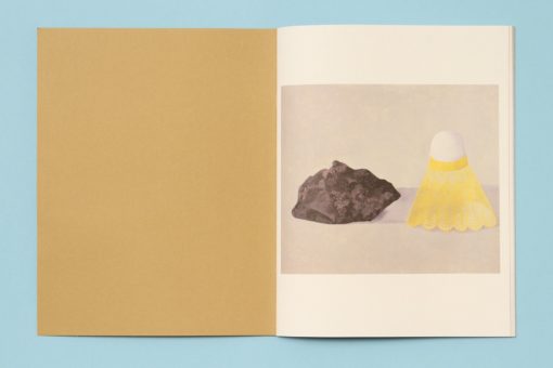 Nathalie du Pasquier - Milanese