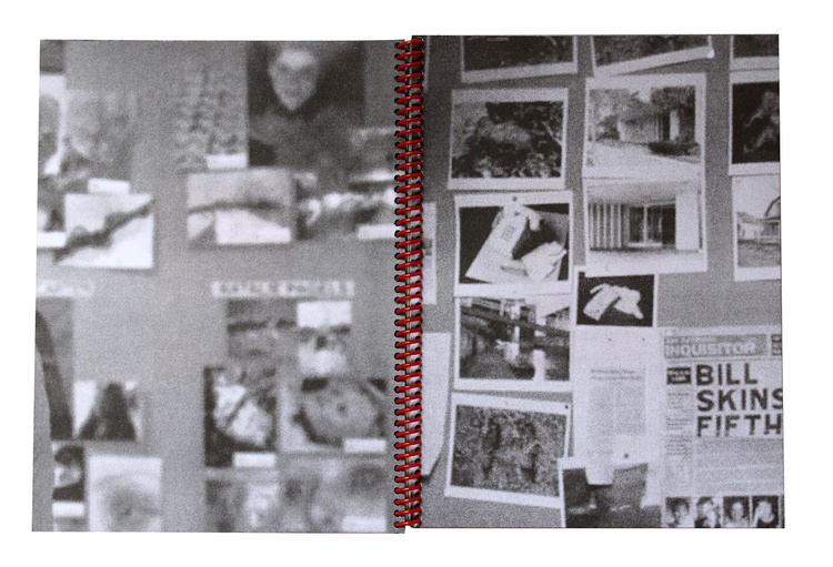 The-Board-paien-librairie-lame
