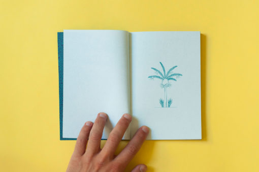 ile_des_réunion-commissaires-anonymes-librairie-lame