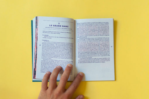 ile_des_réunion-commissaires-anonymes-librairie-lame