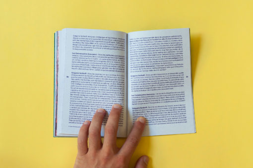 ile_des_réunion-commissaires-anonymes-librairie-lame