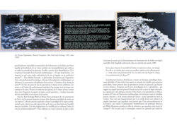 l-economie-a-l-epreuve-de-l-art-sophie-cras