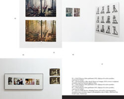 les-artistes-iconographes-empire-librairie-lame-Garance Chabert-Aurélien Mole