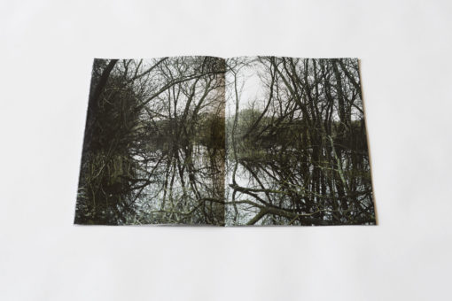 Absorbance - Quentin Yvelin – Image 3