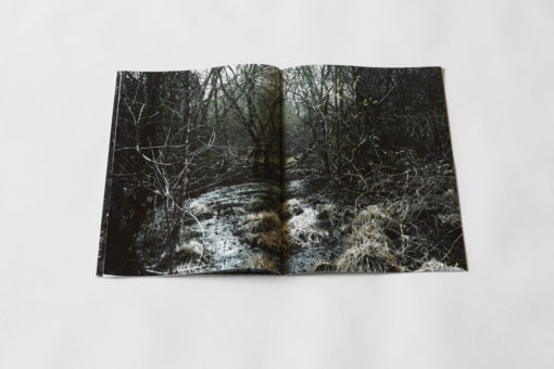 Absorbance - Quentin Yvelin – Image 7