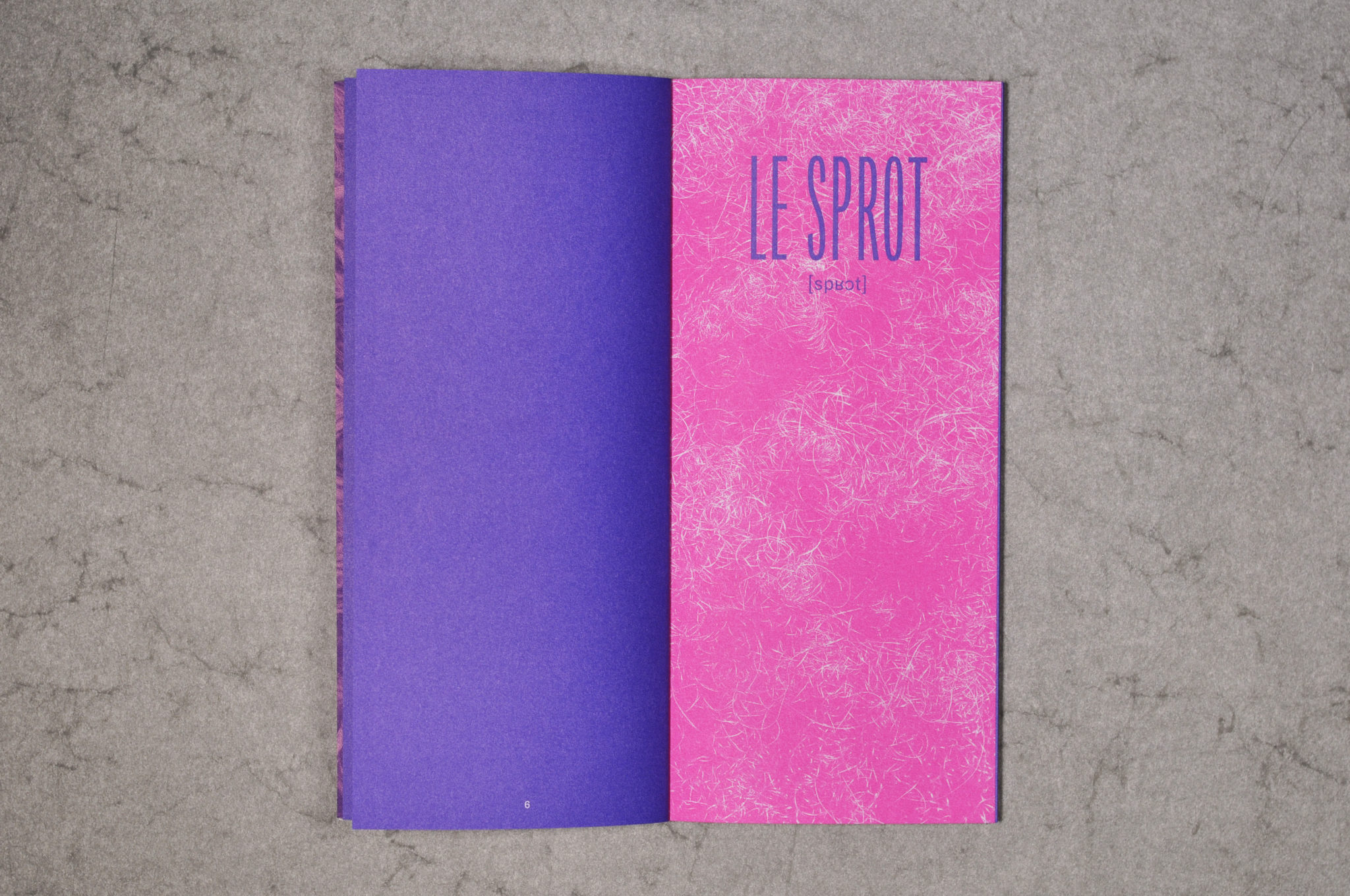 prose-posterieure-commissaires-anonymes