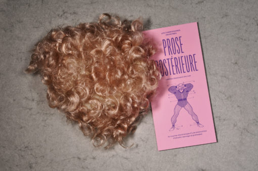 prose-posterieure-commissaires-anonymes