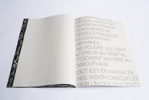 Un feu peut en cacher un autre - Quentin Yvelin – Image 13