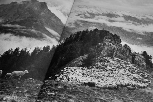 Traverser la terre - Chloé Gadbois-Lamer – Image 4