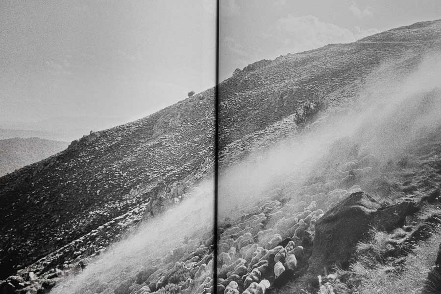 Traverser la terre - Chloé Gadbois-Lamer – Image 3